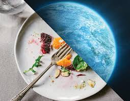 Read more about the article report…